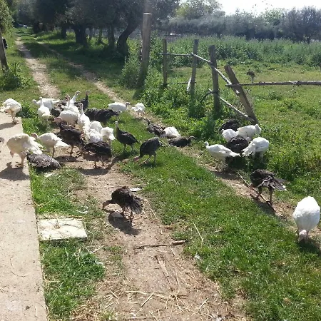 Santa Felicita Bioagriturismo