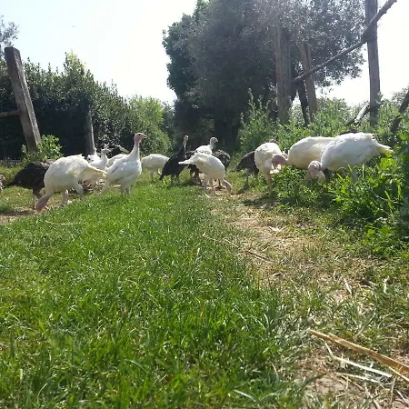 Farm stay Santa Felicita Bioagriturismo